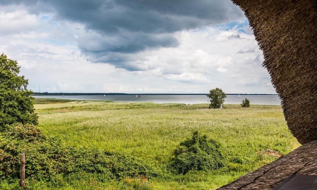 Haus Am Bodden 02 Leilighet Ahrenshoop Eksteriør bilde