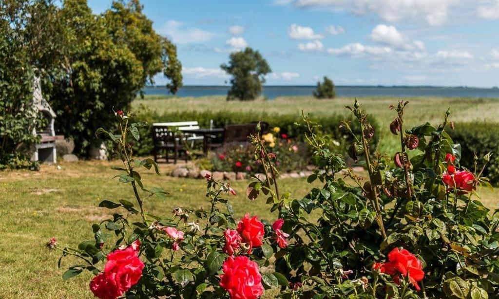 Haus Am Bodden 02 Leilighet Ahrenshoop Eksteriør bilde