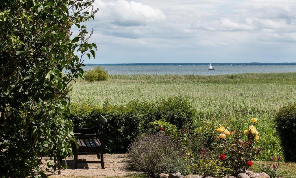 Haus Am Bodden 02 Leilighet Ahrenshoop Eksteriør bilde