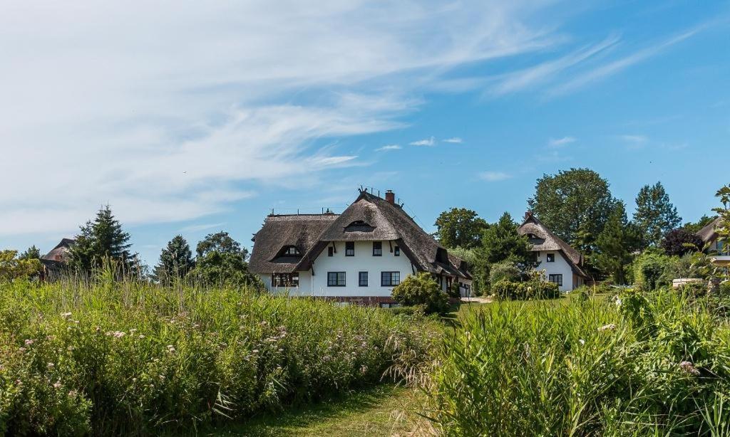 Haus Am Bodden 02 Leilighet Ahrenshoop Eksteriør bilde