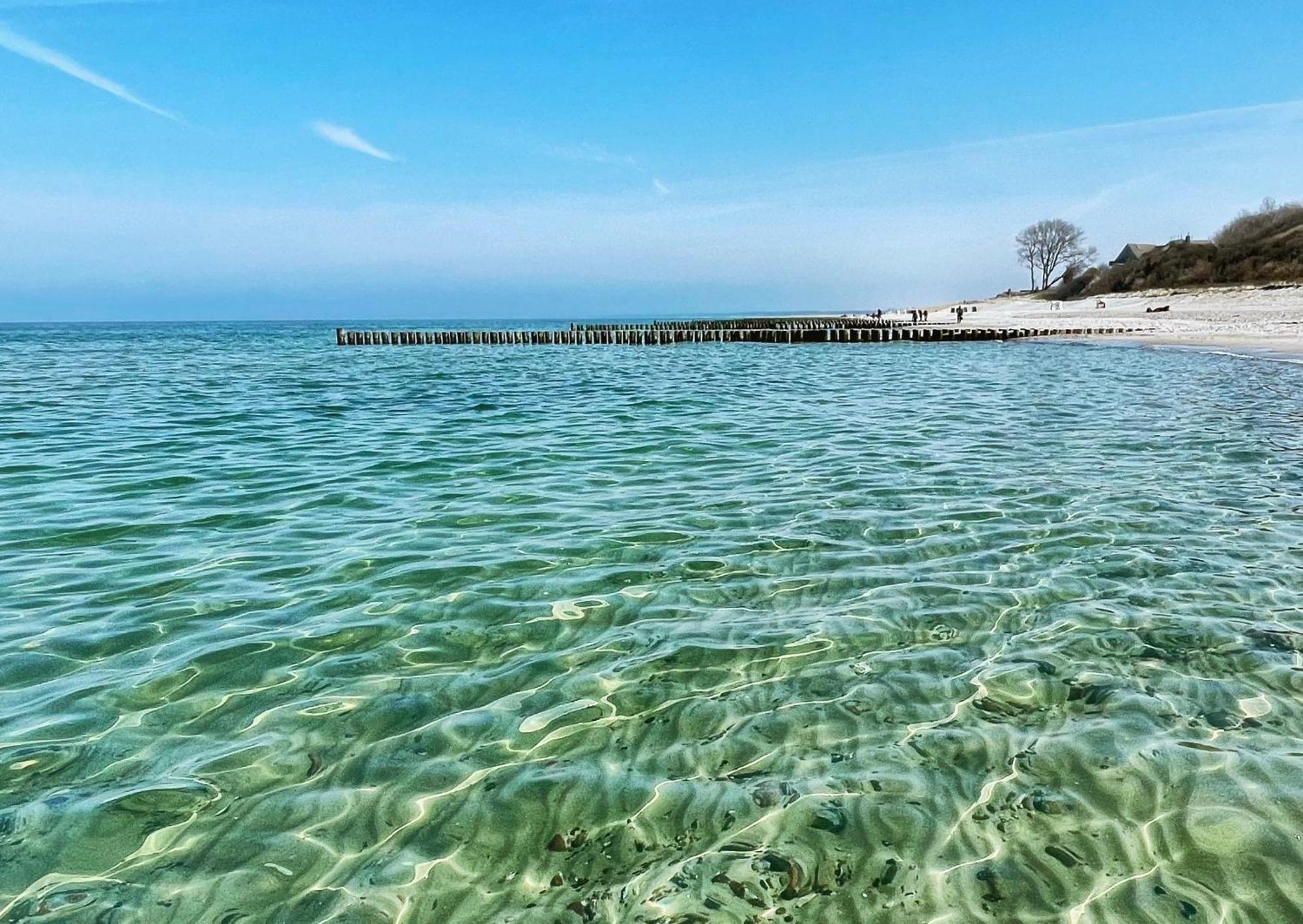 Haus Am Bodden 02 Leilighet Ahrenshoop Eksteriør bilde